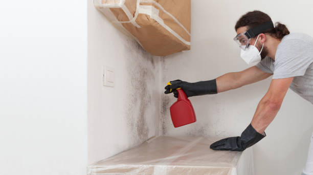 Professional Bathroom Mold Removal technician working in McHenry, MD