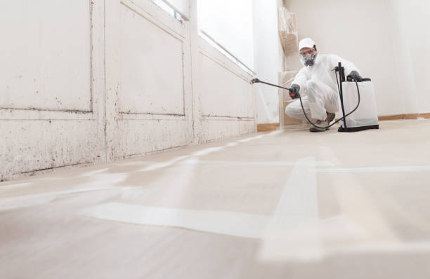24/7 Emergency Bathroom Mold Removal experts in McHenry, MD