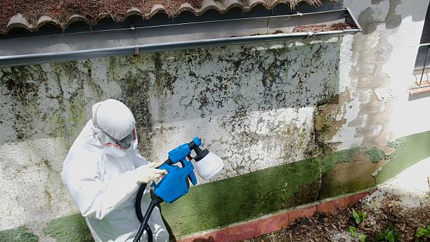 Top rated local Bathroom Mold Removal specialists in McHenry, MD